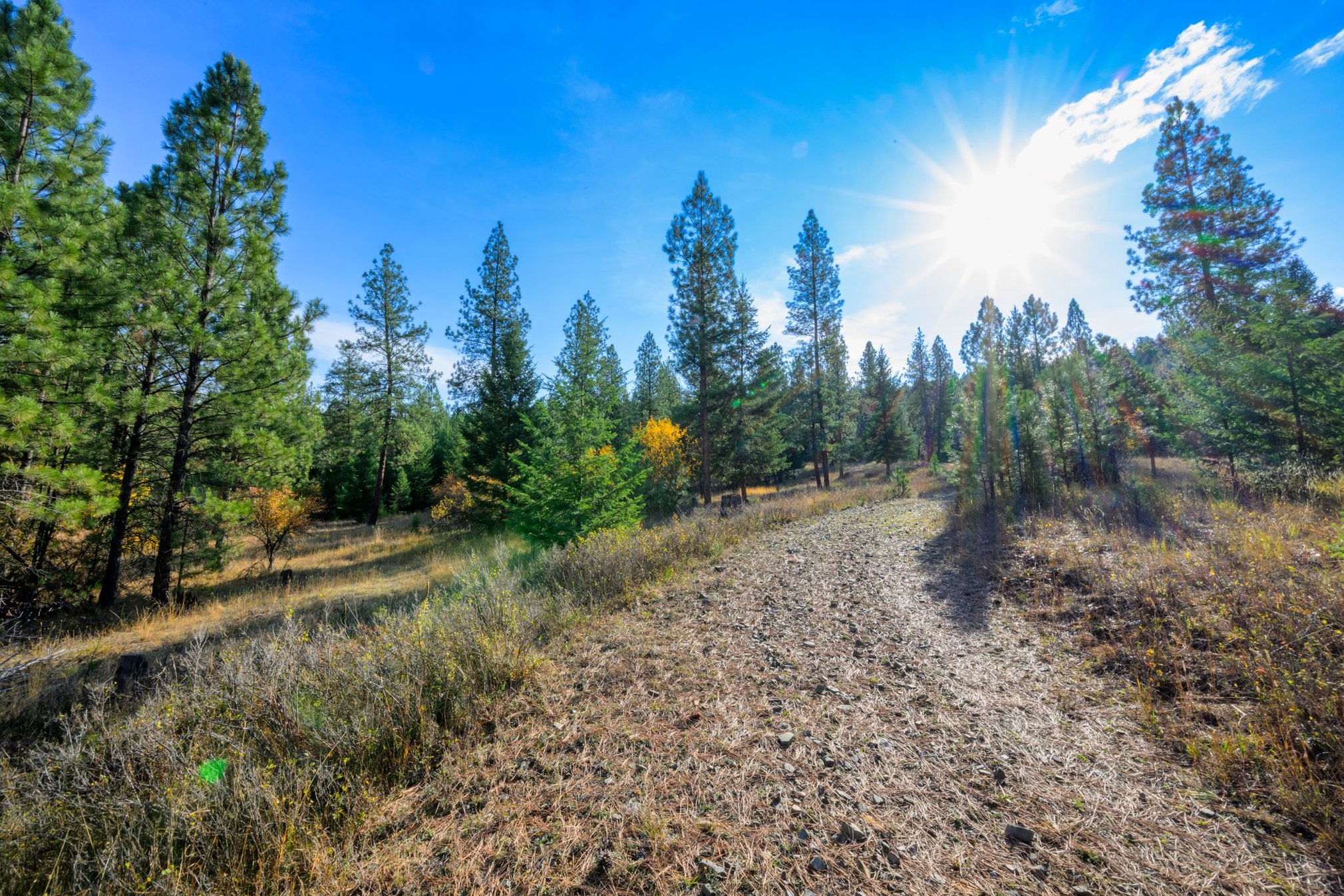 Huson, Montana 59846, United States, 3 Bedrooms Bedrooms, ,2 BathroomsBathrooms,Residential,Pending,81690