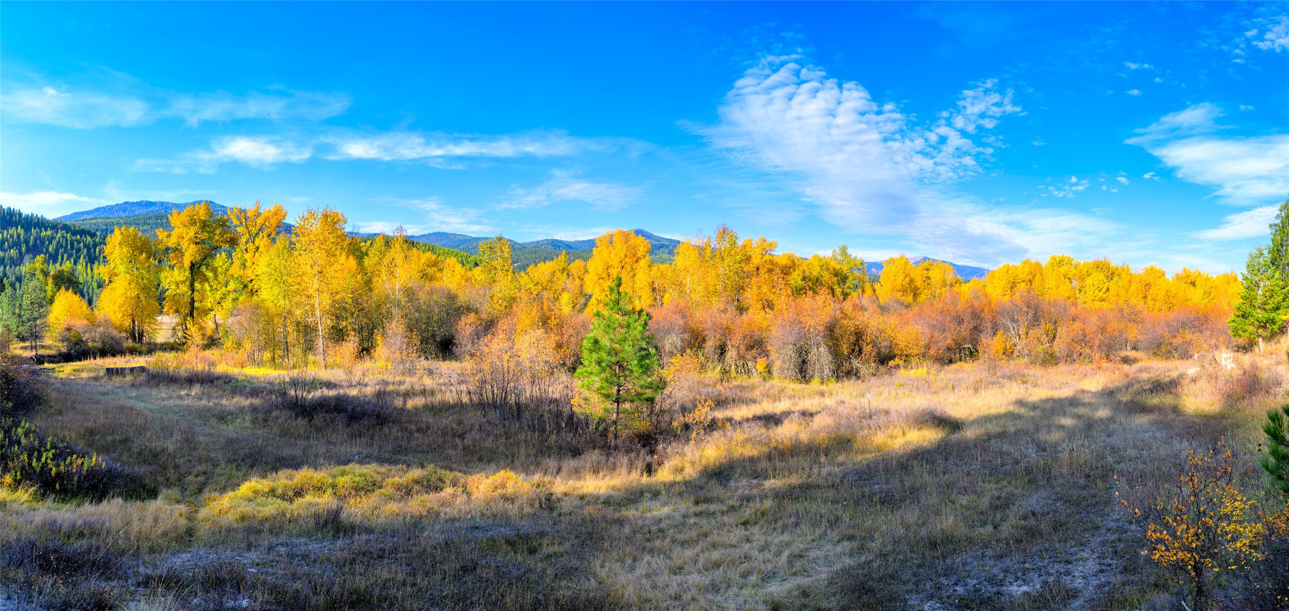 Huson, Montana 59846, United States, 3 Bedrooms Bedrooms, ,2 BathroomsBathrooms,Residential,Pending,81690