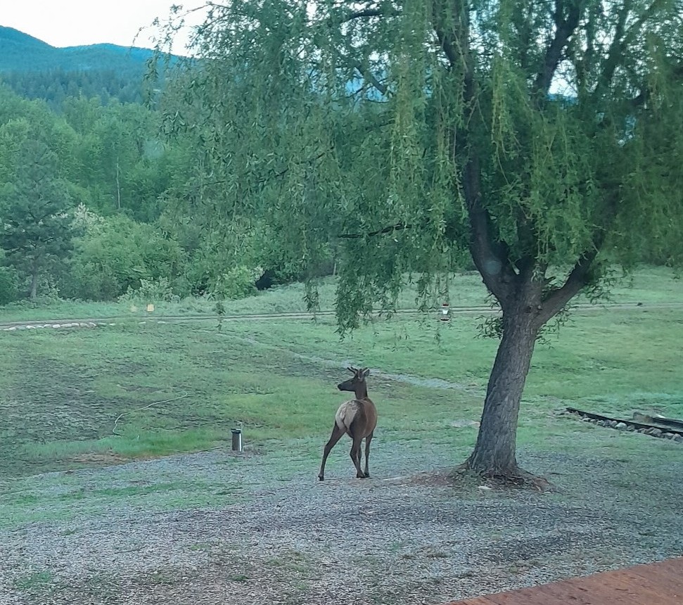 Huson, Montana 59846, United States, 3 Bedrooms Bedrooms, ,2 BathroomsBathrooms,Residential,Pending,81690