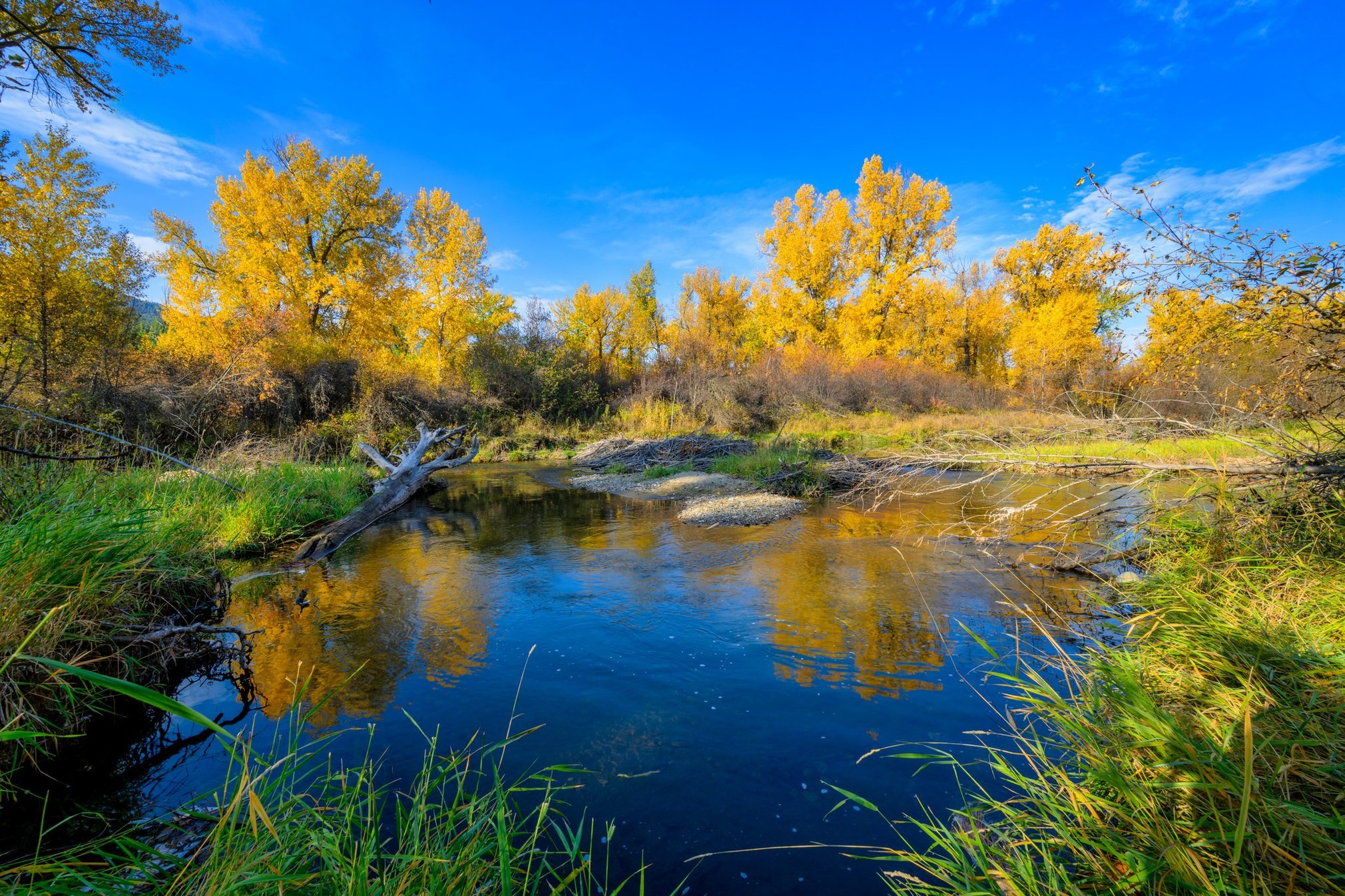 Huson, Montana 59846, United States, 3 Bedrooms Bedrooms, ,2 BathroomsBathrooms,Residential,Pending,81690