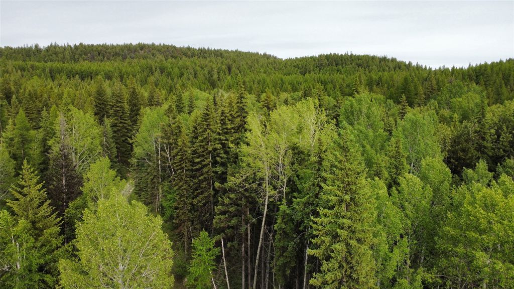 Photo of NHN Soaring Eagle Trail, Fortine, MT 59918 (MLS # 30069411)