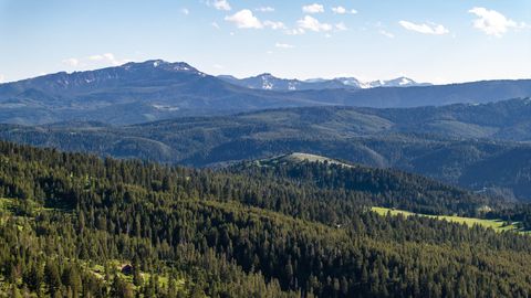 Tiny photo for 185 Peak Road, Bozeman, MT 59715 (MLS # 30071209)