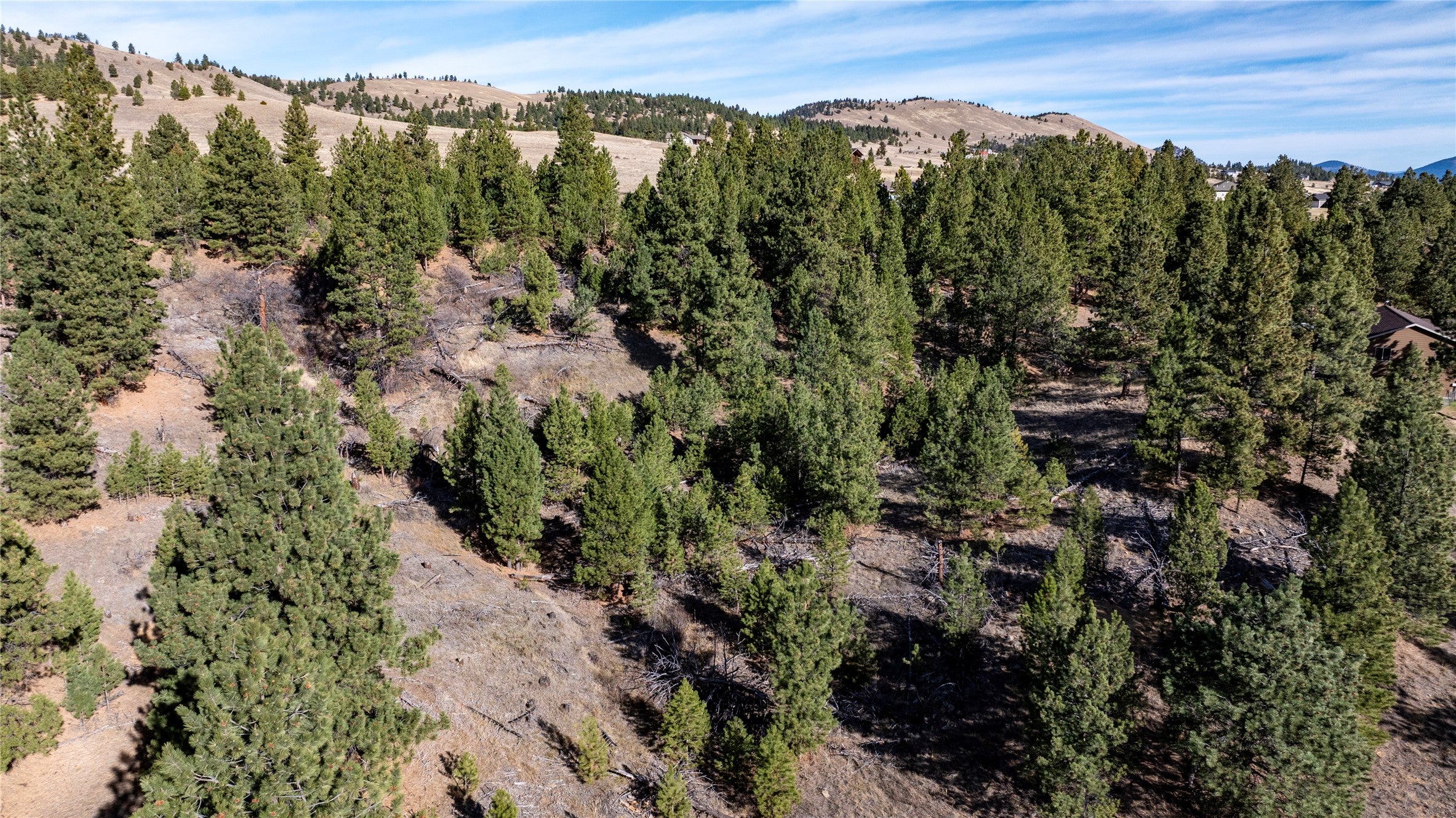 87 Meadowlark Trail