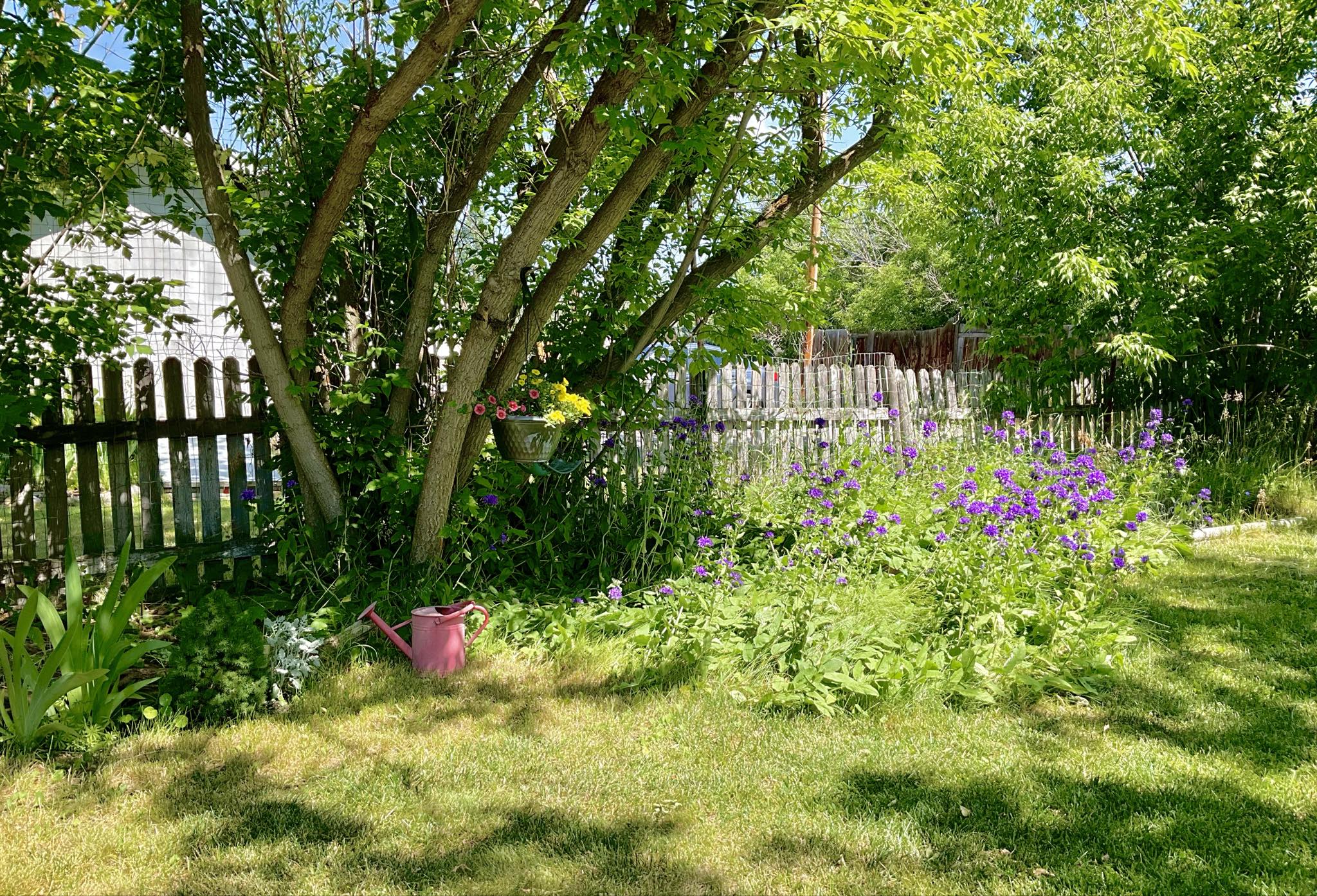 Arlee, Montana 59821, United States, 2 Bedrooms Bedrooms, ,1 BathroomBathrooms,Residential,Pending,106654