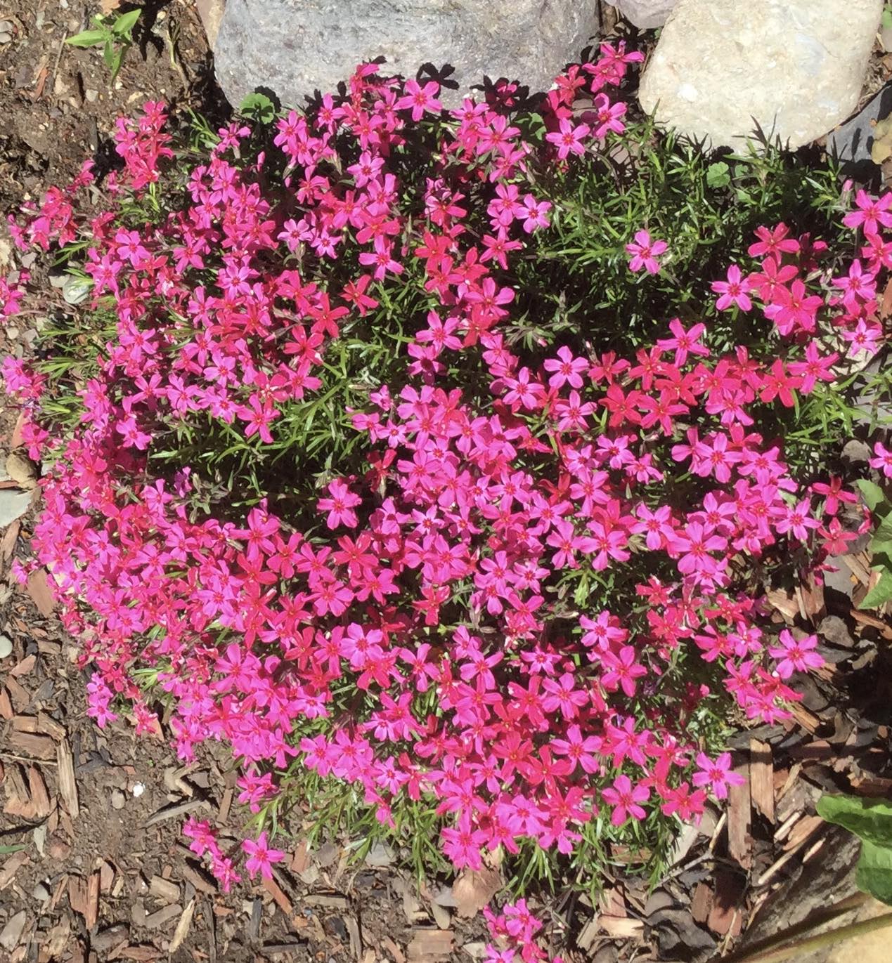 Arlee, Montana 59821, United States, 2 Bedrooms Bedrooms, ,1 BathroomBathrooms,Residential,Pending,106654