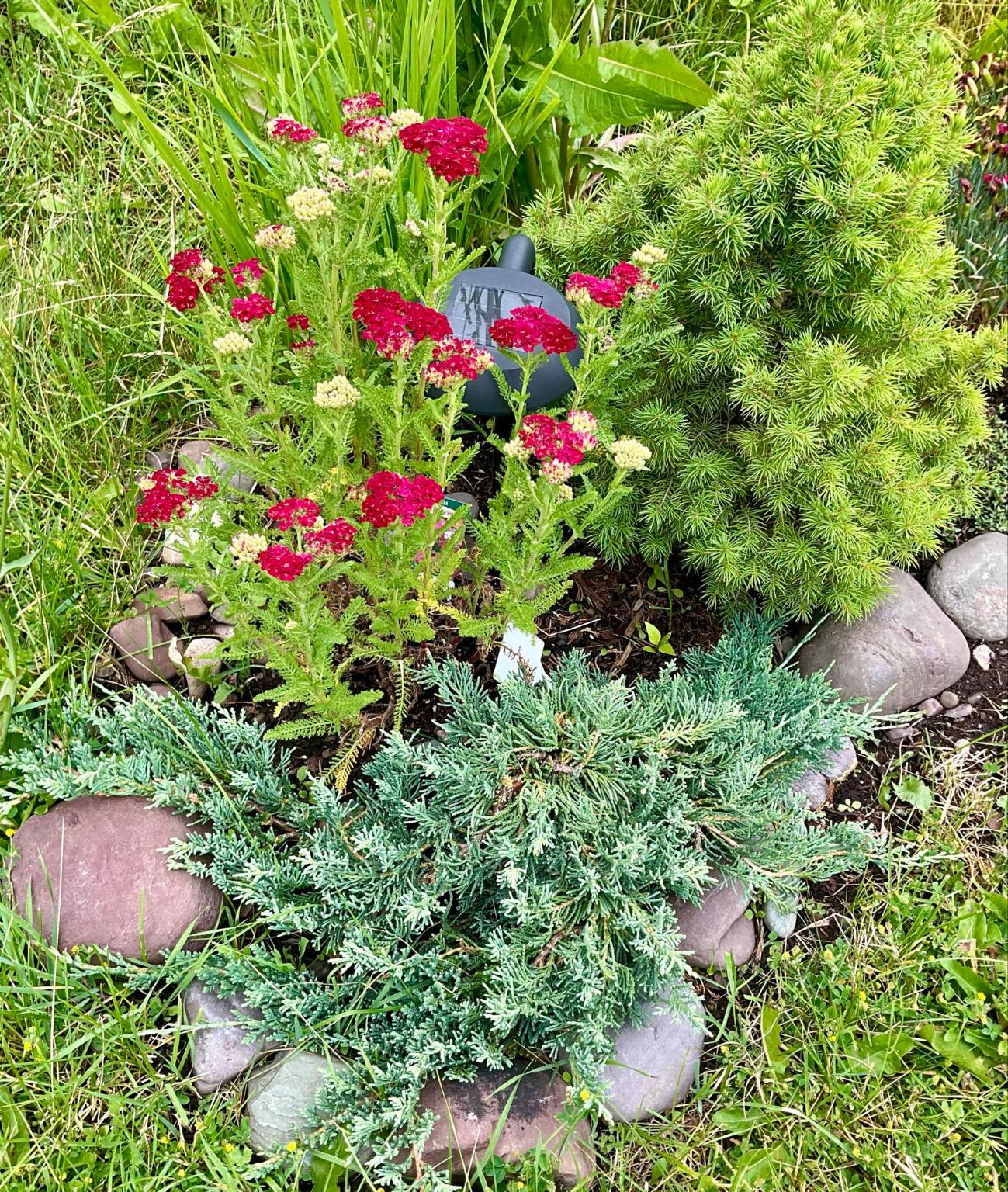 Arlee, Montana 59821, United States, 2 Bedrooms Bedrooms, ,1 BathroomBathrooms,Residential,Pending,106654