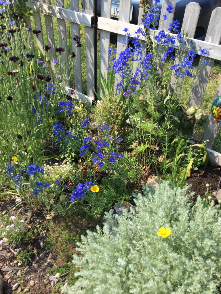 Arlee, Montana 59821, United States, 2 Bedrooms Bedrooms, ,1 BathroomBathrooms,Residential,Pending,106654