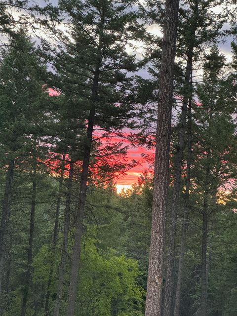 Tiny photo for 400 Buffalo Trail, Somers, MT 59932 (MLS # 30071532)