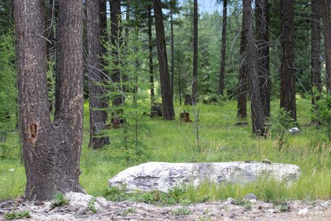 Tiny photo for Address To Be Determ The Woodlands #Lot 9, Whitefish, MT 59937 (MLS # 30053490)