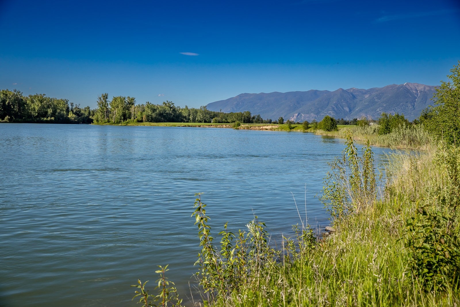 1514 Steel Bridge Road