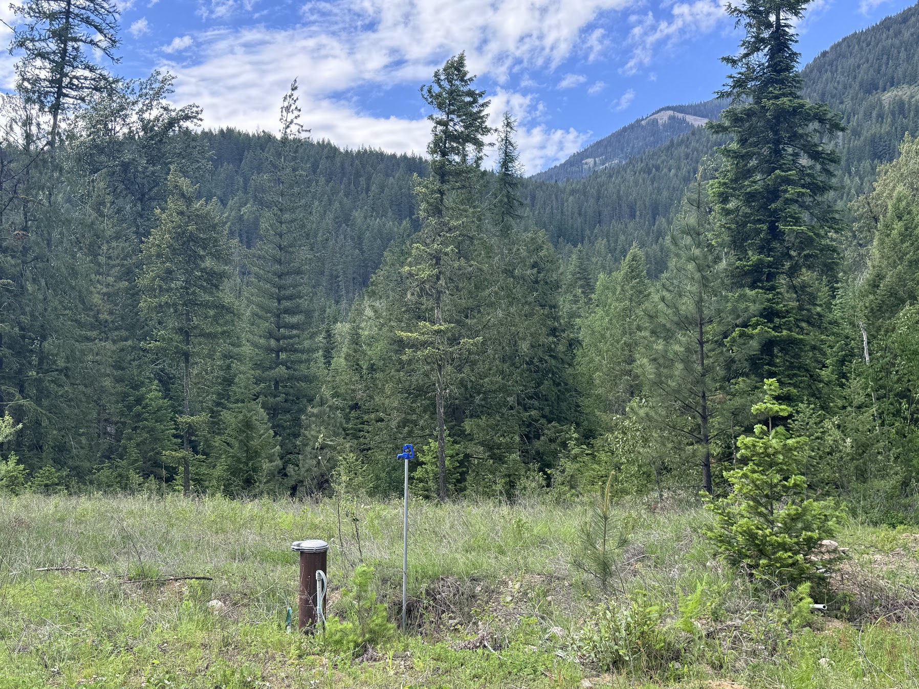 Heron, Montana 59844, United States, 3 Bedrooms Bedrooms, ,3 BathroomsBathrooms,Residential,Active,147355