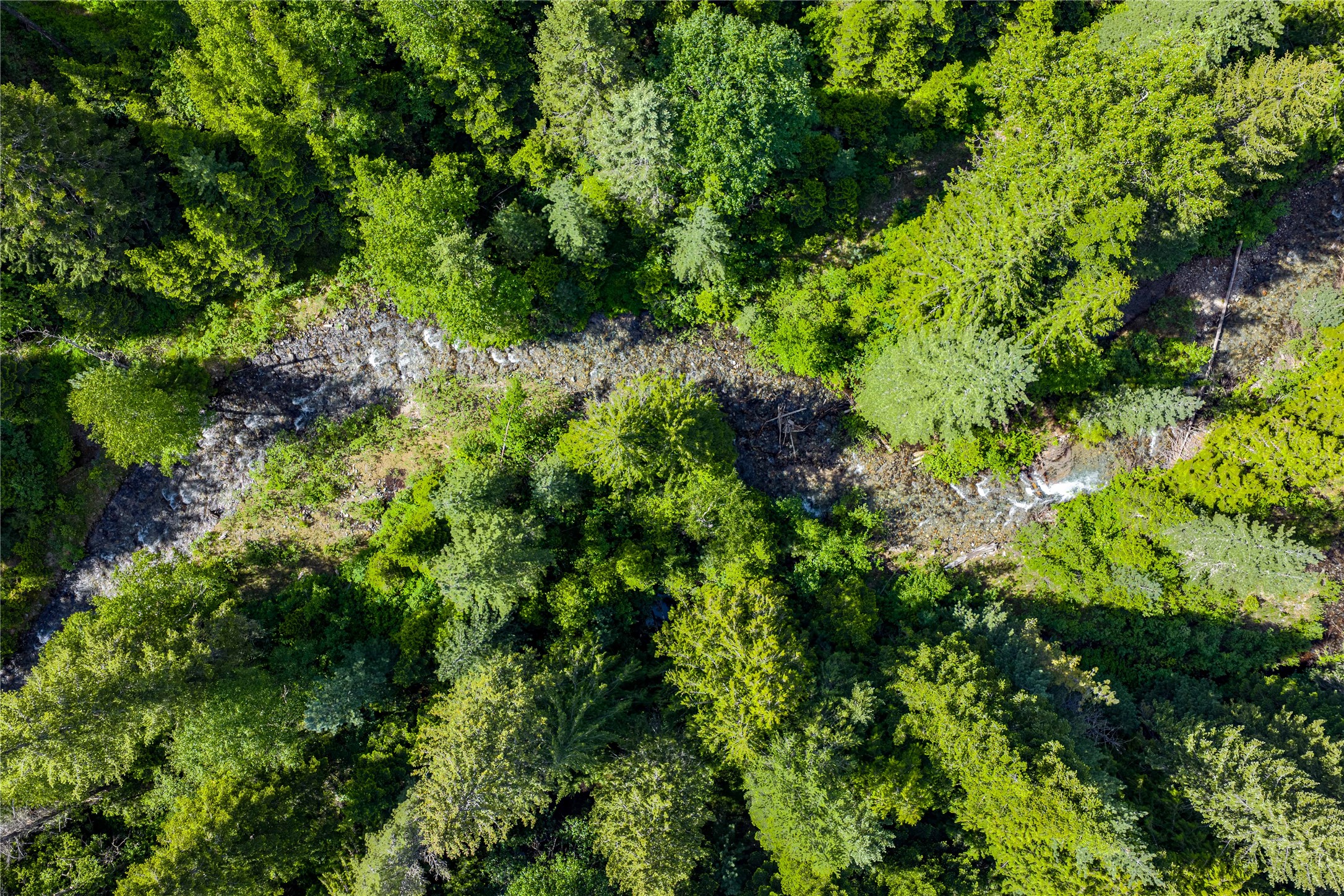 Heron, Montana 59844, United States, 3 Bedrooms Bedrooms, ,3 BathroomsBathrooms,Residential,Active,147355