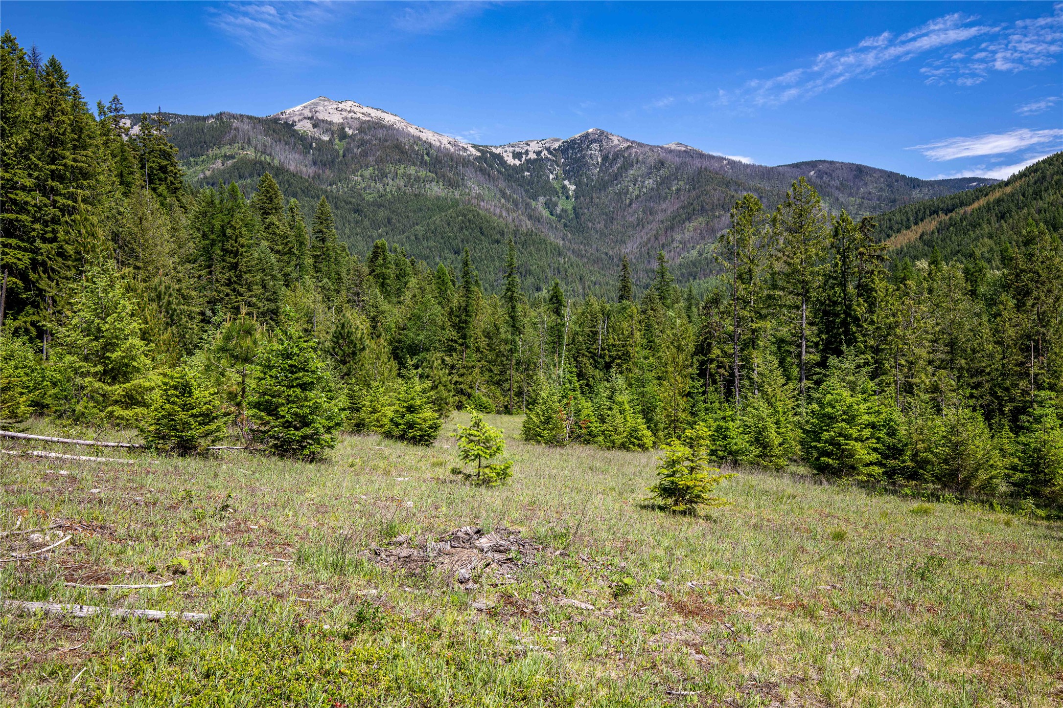 Heron, Montana 59844, United States, 3 Bedrooms Bedrooms, ,3 BathroomsBathrooms,Residential,Active,147355