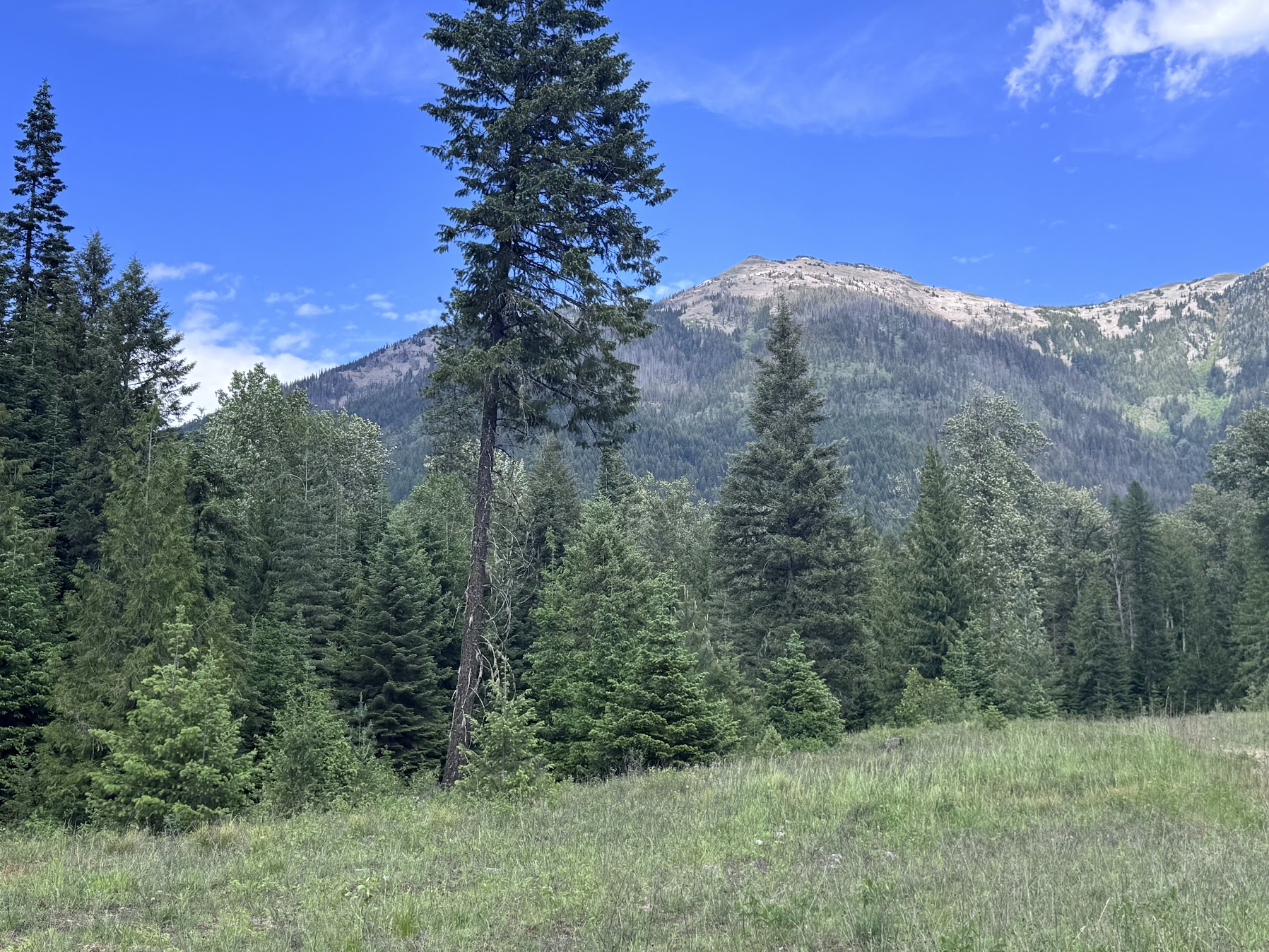 Heron, Montana 59844, United States, 3 Bedrooms Bedrooms, ,3 BathroomsBathrooms,Residential,Active,147355