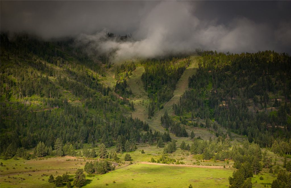 Photo of 8744 McClain Creek Road, Florence, MT 59833 (MLS # 30058325)