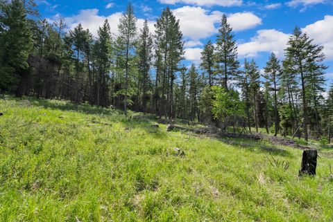 Photo of 437 Buffalo Trail, Somers, MT 59932 (MLS # 30065832)