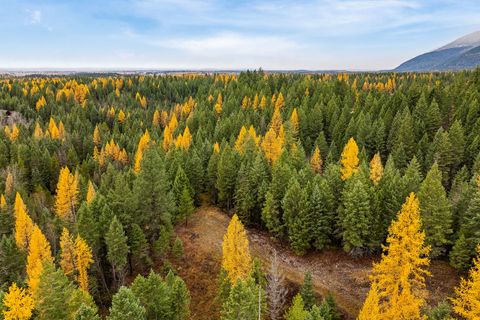 Photo of 199 E Many Lakes Drive, Kalispell, MT 59901 (MLS # 30036069)