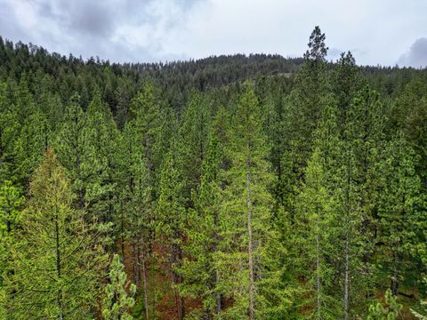 Tiny photo for 3219 Bear Creek Road, Bonner, MT 59823 (MLS # 30069395)