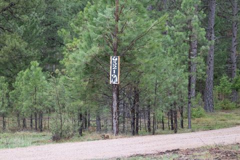 Tiny photo for 3219 Bear Creek Road, Bonner, MT 59823 (MLS # 30069395)