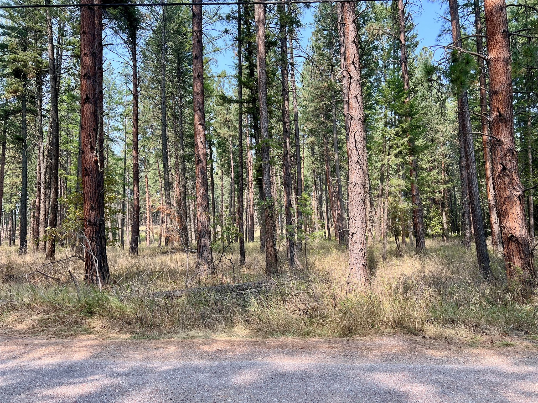 NHN S Finley Point Road