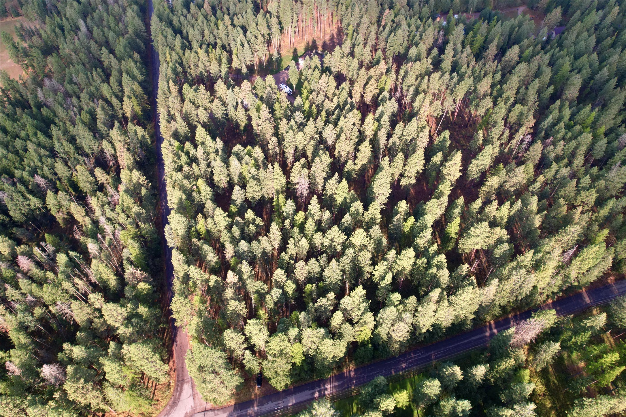 NHN S Finley Point Road