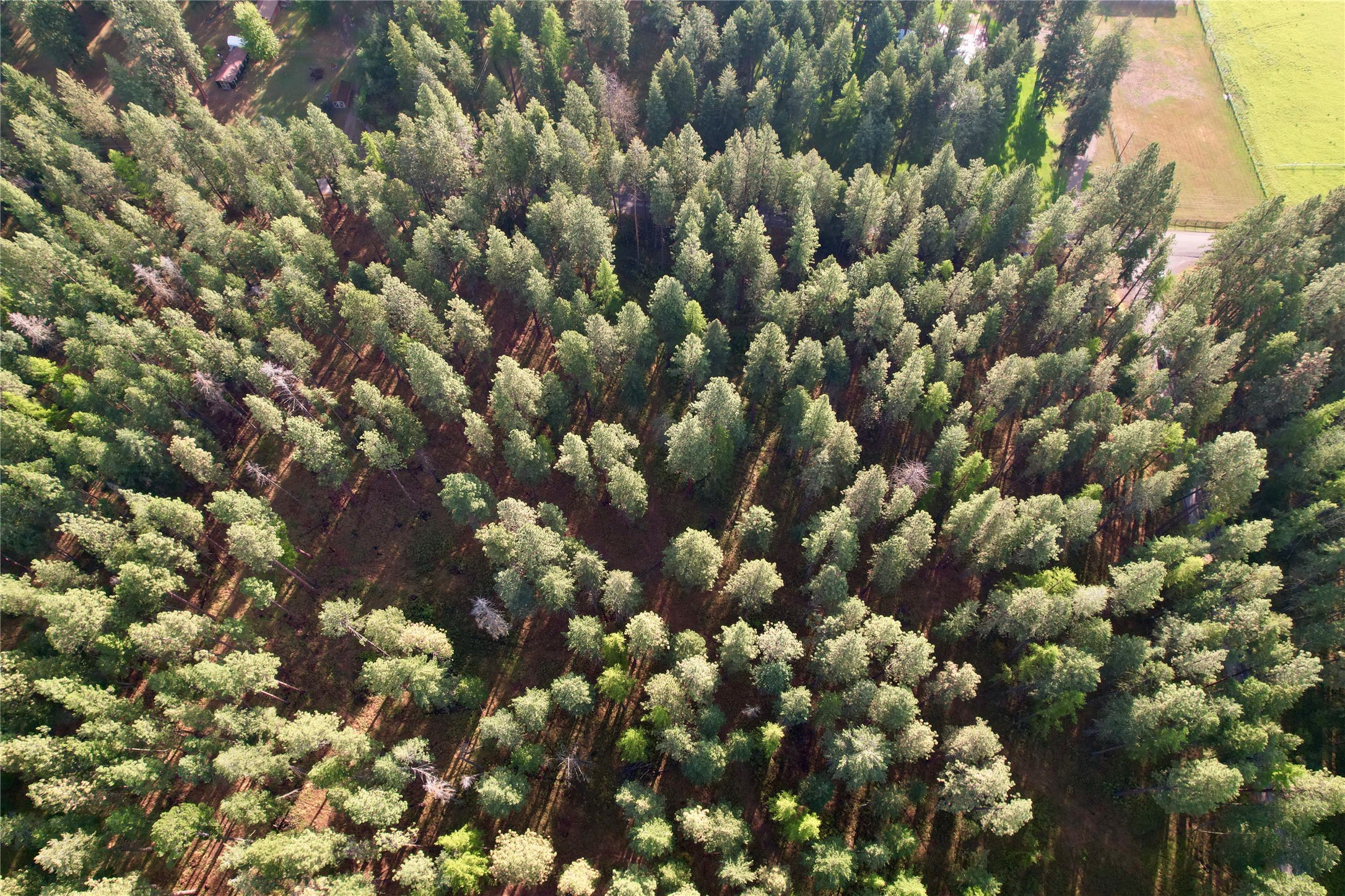 NHN S Finley Point Road