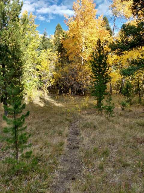 Tiny photo for NHN Hoover Creek Road, Helmville, MT 59843 (MLS # 30073003)