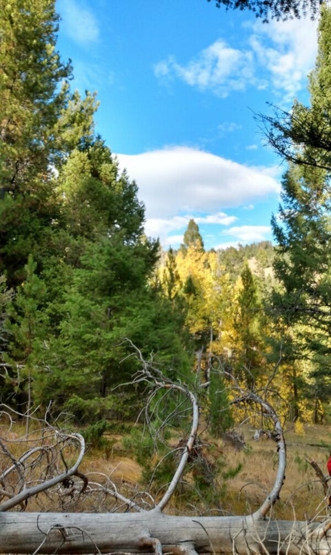 Photo of NHN Hoover Creek Road, Helmville, MT 59843 (MLS # 30073003)
