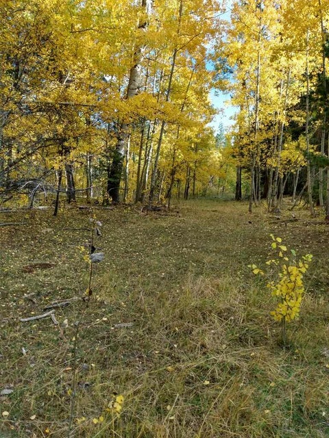 Tiny photo for NHN Hoover Creek Road, Helmville, MT 59843 (MLS # 30073003)