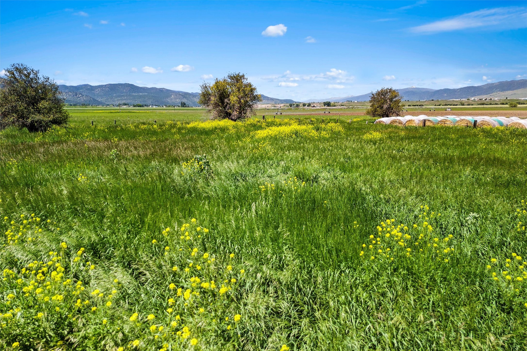 4055 , 4085 Rooster Ridge Road