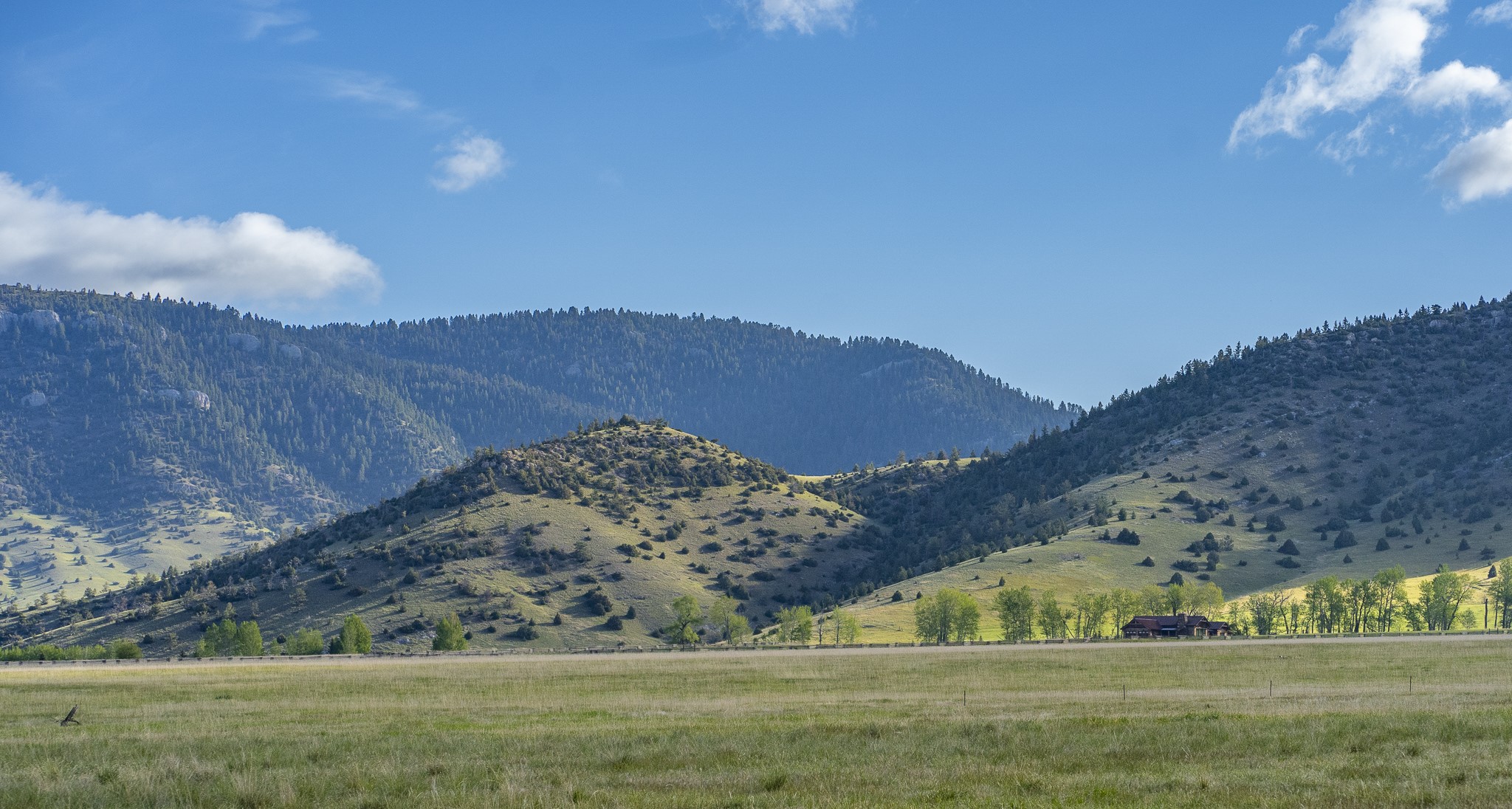 NHN Suce Creek Road