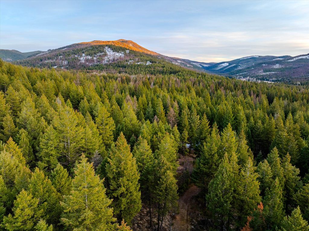 Photo of 260 Wild Horse Trail, Kila, MT 59920 (MLS # 30066451)