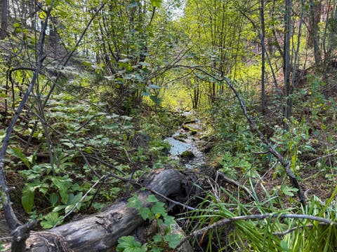 Tiny photo for 40 Shadow Lane, Cascade, MT 59421 (MLS # 30074578)