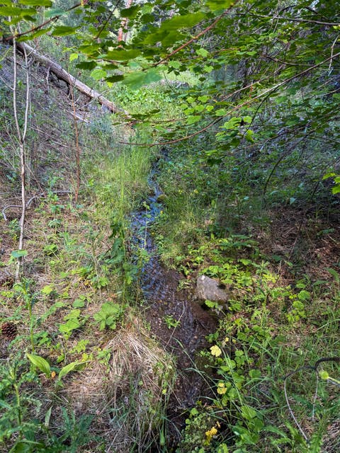 Tiny photo for 40 Shadow Lane, Cascade, MT 59421 (MLS # 30074578)