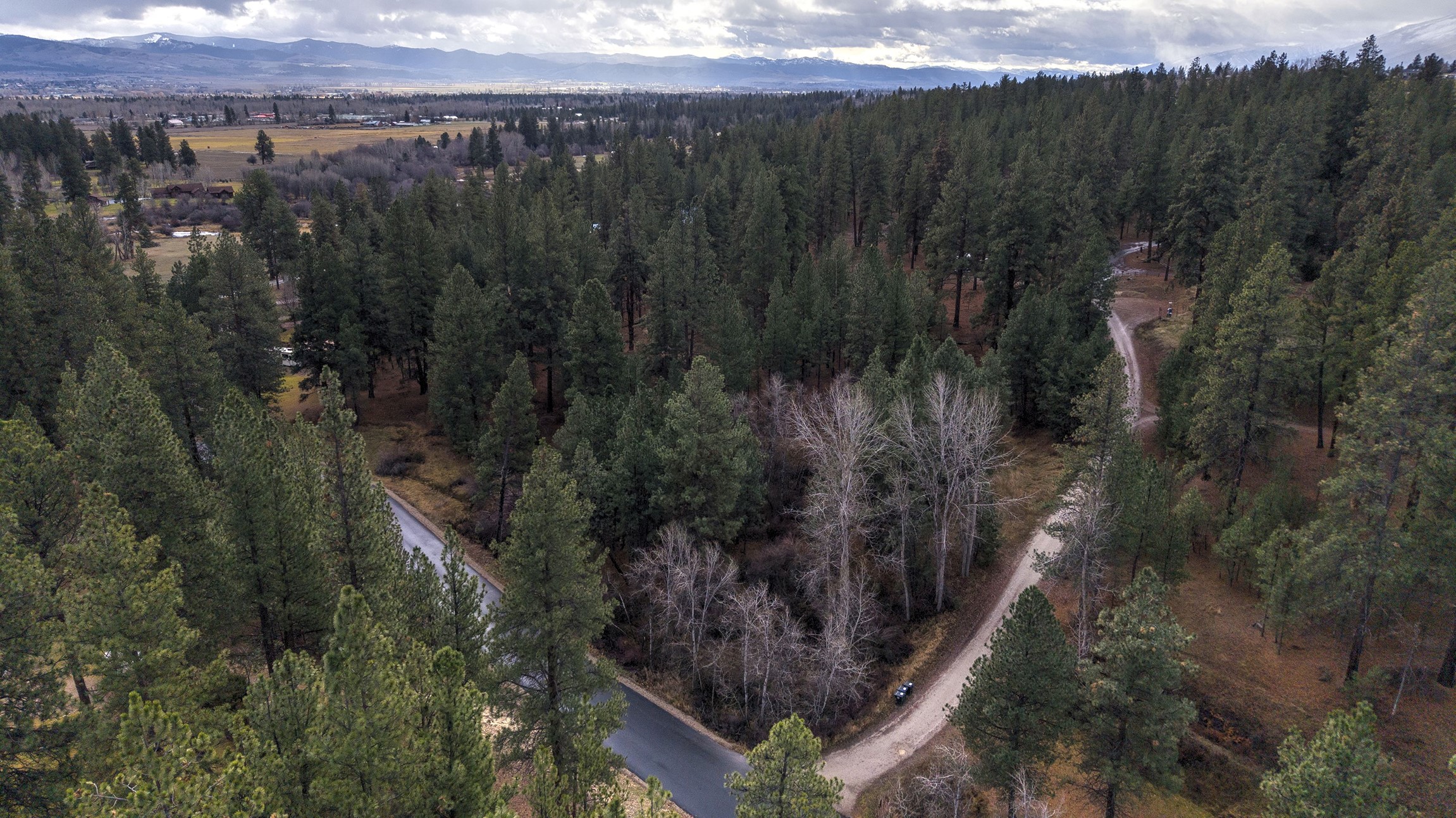 000 Lot 7 Cone Drive