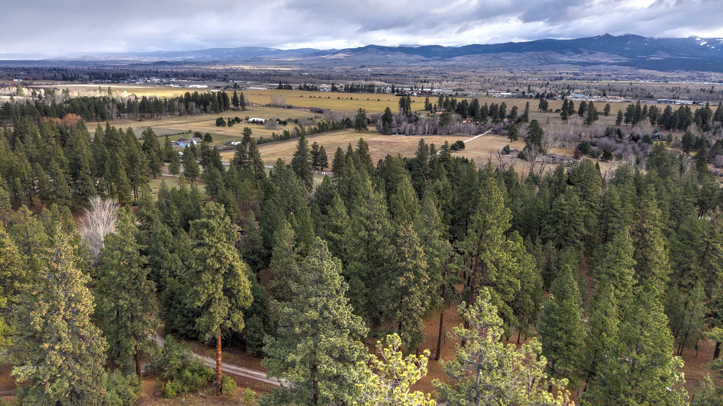 000 Lot 7 Cone Drive