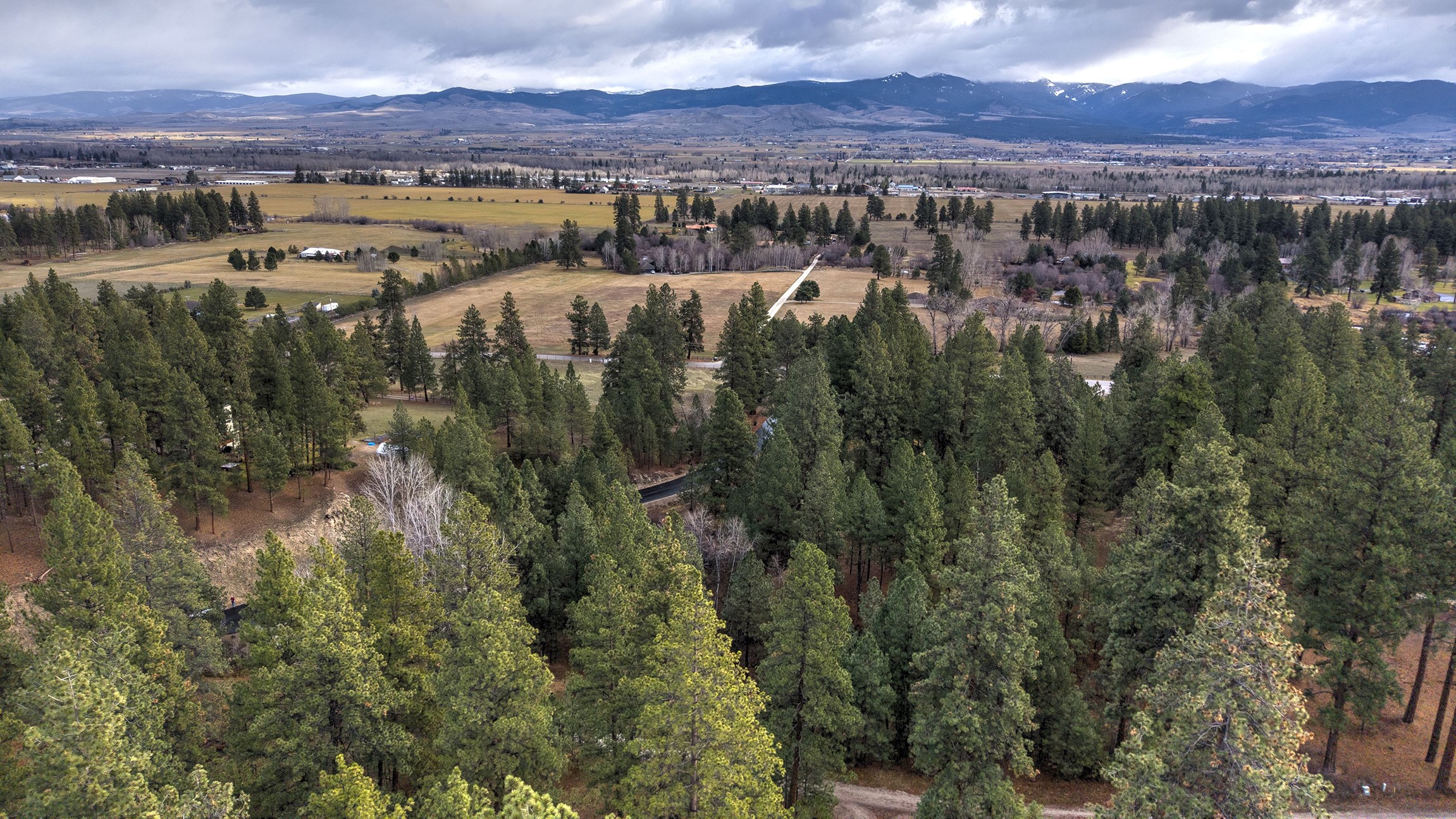 000 Lot 7 Cone Drive