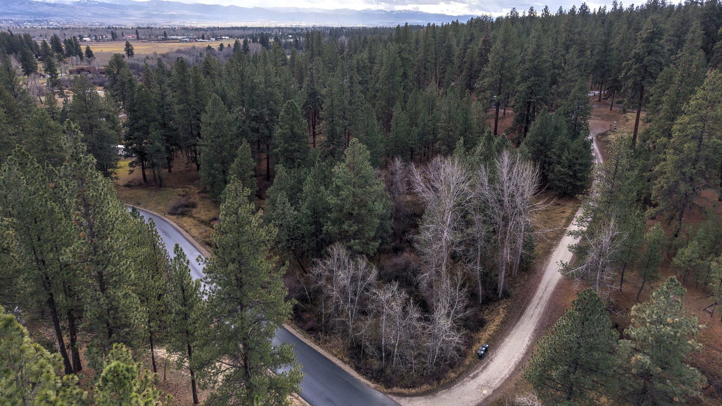 000 Lot 7 Cone Drive