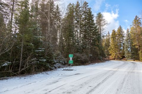 295 Emerald Drive Whitefish MT 59937