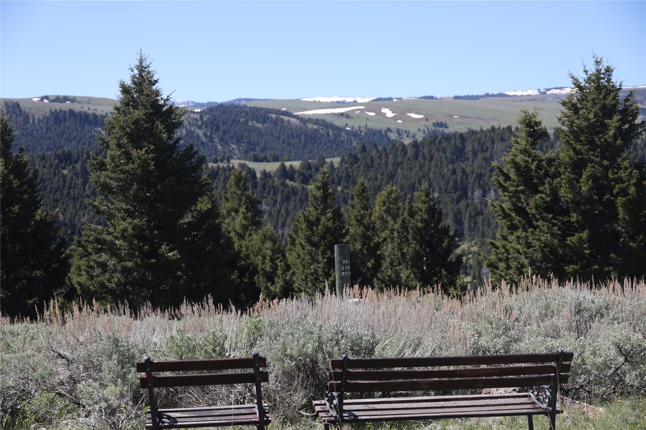 51 Boiler Springs Trail