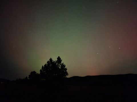 Tiny photo for 107 Marion Meadows Trail, Marion, MT 59925 (MLS # 30069197)