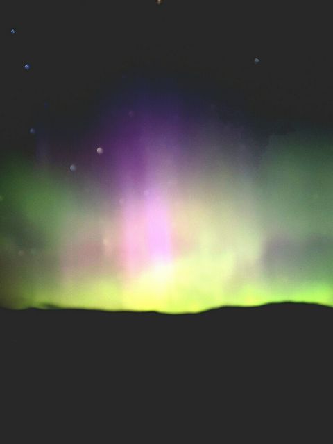 Tiny photo for 107 Marion Meadows Trail, Marion, MT 59925 (MLS # 30069197)