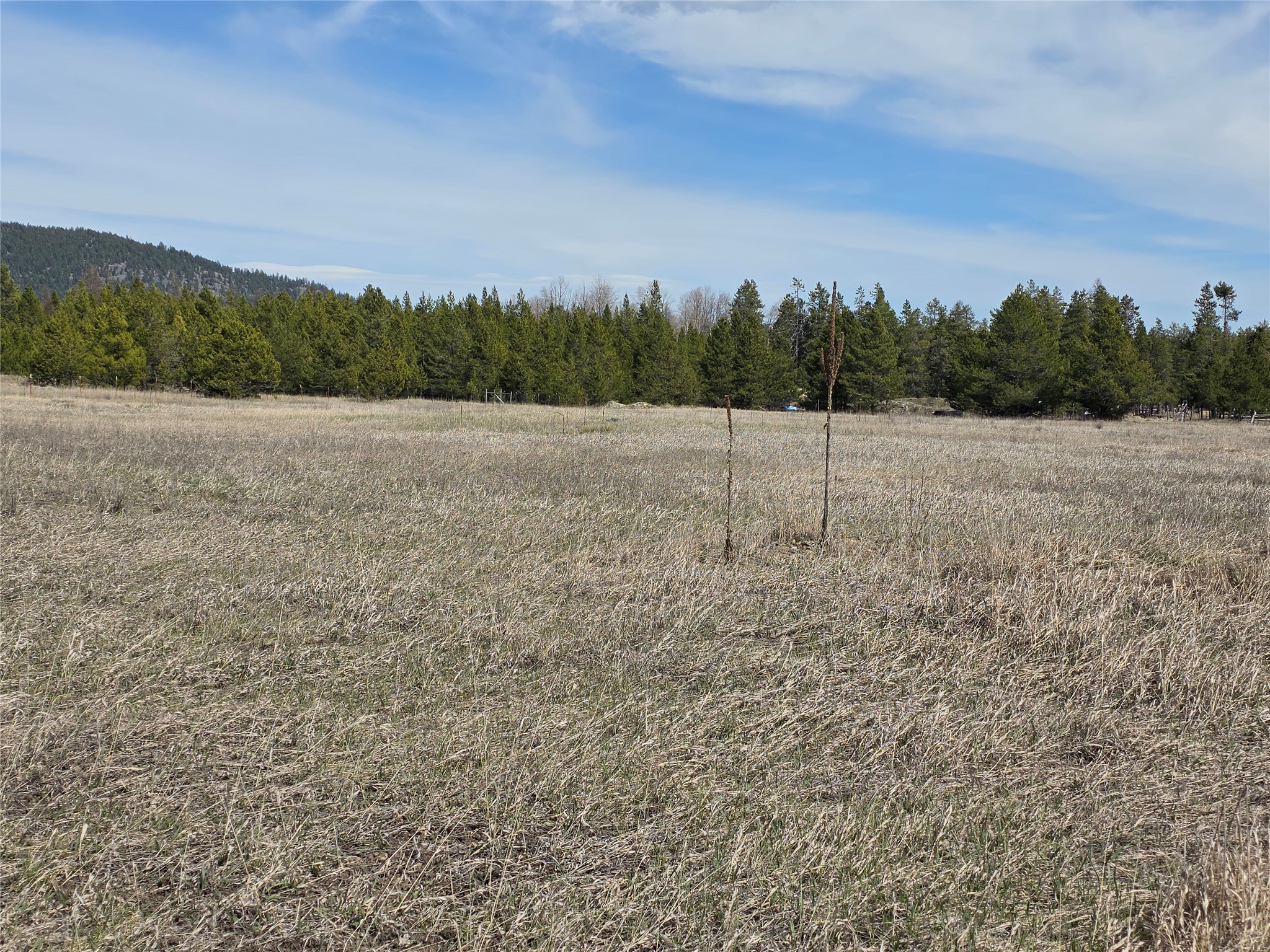 107 Marion Meadows Trail