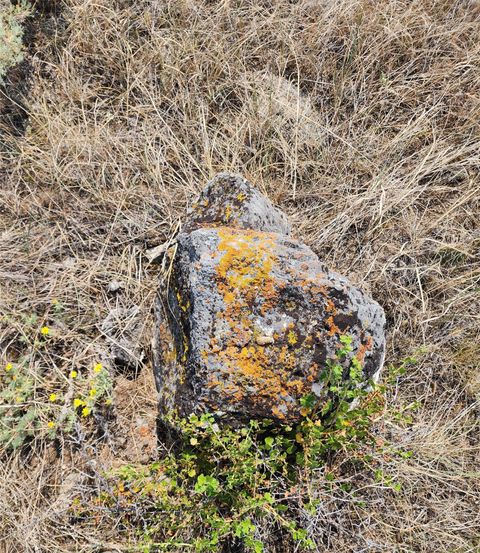 Tiny photo for NHN Copper City "BLM" Road, Three Forks, MT 59752 (MLS # 30068598)