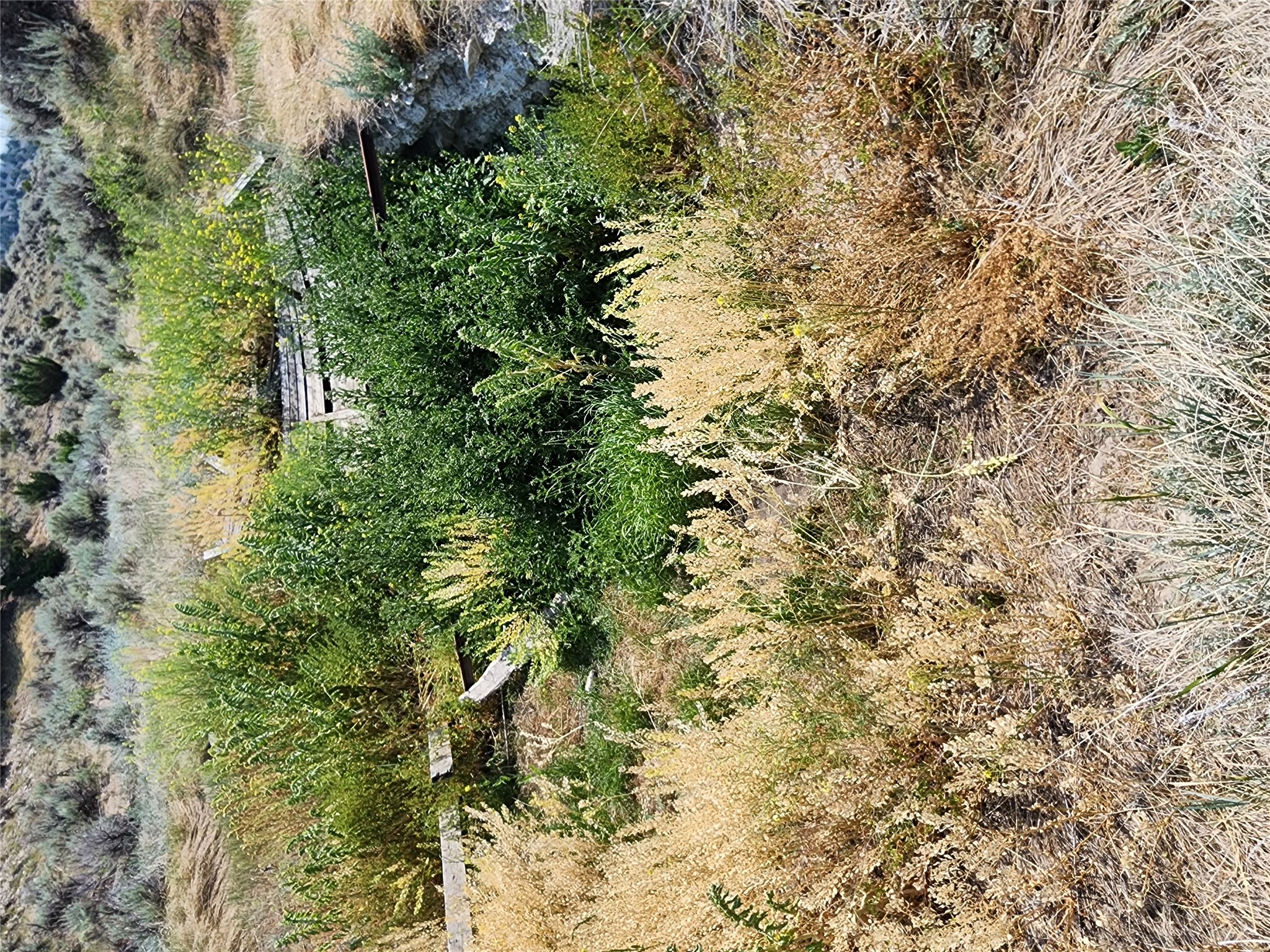 NHN Copper City "BLM" Road