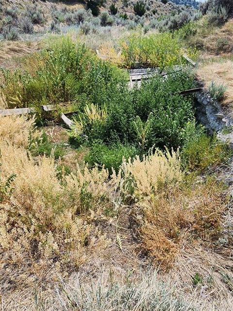 Tiny photo for NHN Copper City "BLM" Road, Three Forks, MT 59752 (MLS # 30068598)