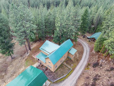 152 Buffalo Bill Road Plains MT 59859