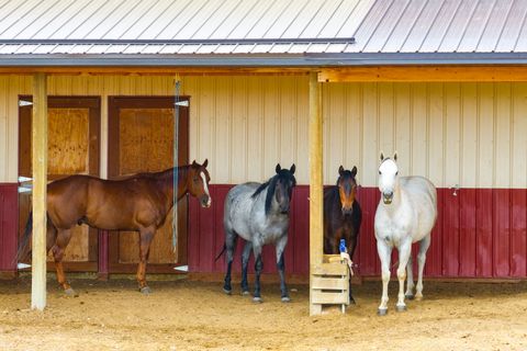 Tiny photo for 29 Rainbow Road, Power, MT 59468 (MLS # 30070451)