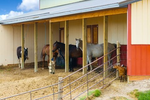 Tiny photo for 29 Rainbow Road, Power, MT 59468 (MLS # 30070451)