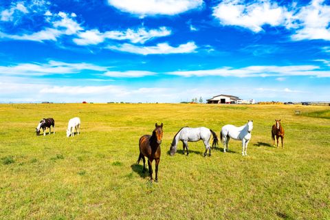 Tiny photo for 29 Rainbow Road, Power, MT 59468 (MLS # 30070451)